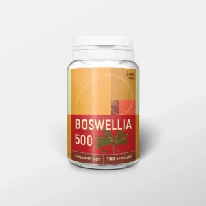 Boswellia - 500mg - 100 kaps. - Nanga