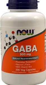 Kwas GABA kwas Gamma-aminomasłowy 500mg – 200 Vege kaps. – NOW Foods