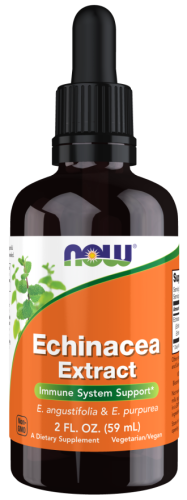 Jeżówka purpurowa echinacea ekstrakt w płynie - 59 ml - NOW Foods