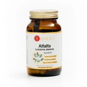 Alfalfa - Lucerna siewna - Yango - 60 kaps.